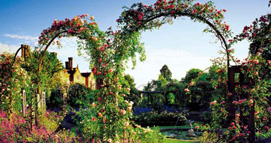 Ѳ��Ӣ���ϾƵ� ס�����Ӣ����