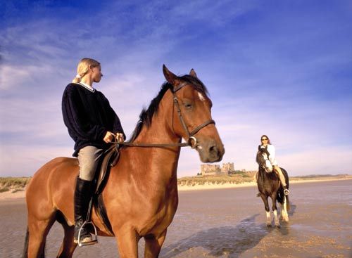 ����̽��ָ�ϣ�������“����”ӢŮ��֮��