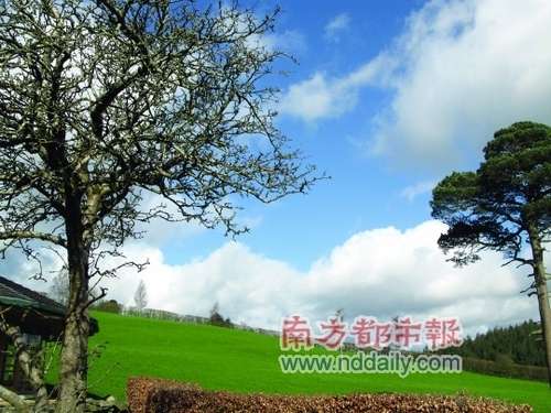 �߽������� ��������Ӿ���ζ����������