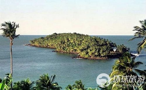 ������Ϊ��֪�����ܣ����������������