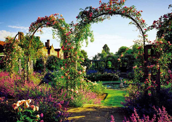 Ѳ��Ӣ���ϾƵ� ס�����Ӣ����